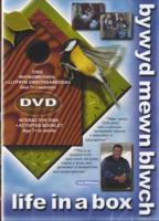 Bywyd Mewn Blwch (DVD)