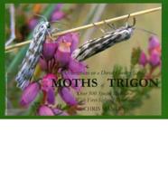 Moths of Trigon