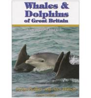Whales & Dolphins of Great Britain