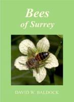 Bees of Surrey