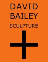 David Bailey