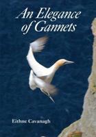 An Elegance of Gannets