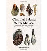 Channel Island Marine Molluscs