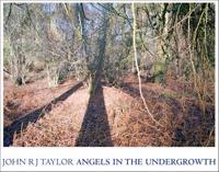 Angels in the Undergrowth