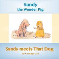 Sandy Meets That Dog