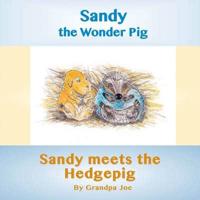 Sandy Meets the Hedgehog