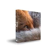 Fox Fox