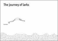 The Journey of Larks