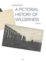 A Pictorial History of Wilderness