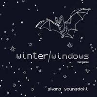 Winter/windows