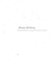 Alison Wilding - Acanthus, Asymmetrically