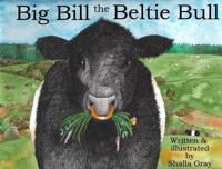 Big Bill the Beltie Bull