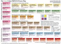 Crazy Colour Prince2 Process Map
