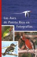 Las Aves De Puerto Rico En Fotografías