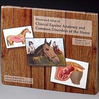 Illustrated Atlas of Clinical Equine Anatomy and Common Disorders of the Horse Vol 1