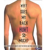 Why Does My Back Hurt So Much?