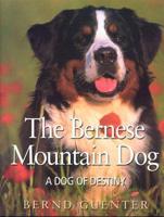 The Bernese Mountain Dog