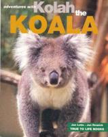 Adventures With Kolah the Koala