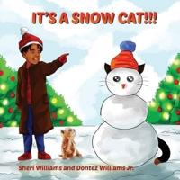 It's A Snow Cat!!!
