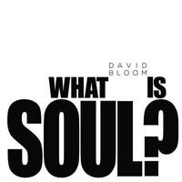 What Is Soul?