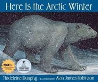 Here Is the Arctic Winter