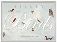 Sibley Birds Eighteen Card Set