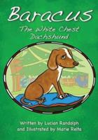 Baracus the White-Chest Dachshund