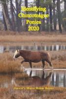 Identifying Chincoteague Ponies 2020