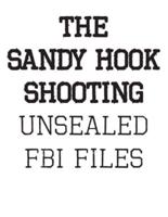 The Sandy Hook Shooting