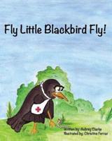 Fly Little Blackbird Fly