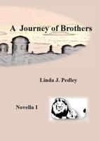 Journey of Brothers