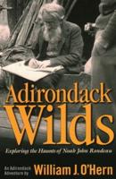 Adirondack Wilds