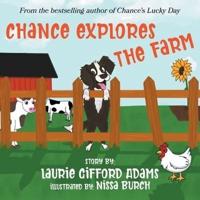 Chance Explores the Farm