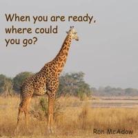 When You Are Ready, Where Could You Go?