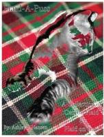 Plaid-A-Puss: A Collection of Cats on Plaid & Plaid on Cats
