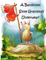 A Bandicoot Stole Grandma's Underwear!