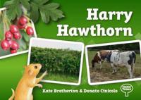 Harry Hawthorn