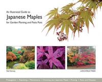 An Illustrated Guide to Japanese Maples for Garden Planting and Patio Pots