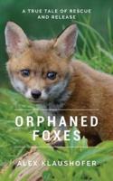 Orphaned Foxes