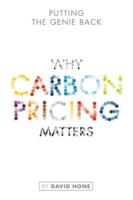 Why Carbon Pricing Matters