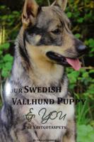 Your Swedish Vallhund Puppy and You