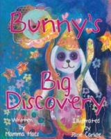 Bunny's Big Discovery
