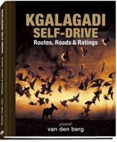 Kagalagadi Self-Drive