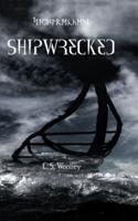 Shipwrecked: A kids Viking Adventure