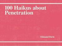 100 Haikus About Penetration