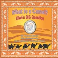 What Is a Camel?: Ellah's BIG Question
