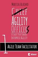 Agile Team Facilitator