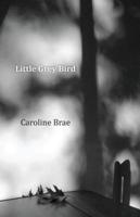 Little Grey Bird