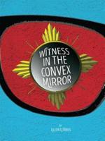 Witness in the Convex Mirror