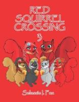 Red Squirrel Crossing III